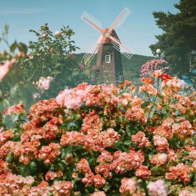 金沙8888js官方手机app下载截图